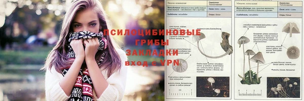 2c-b Верхний Тагил