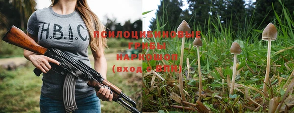 2c-b Верхний Тагил