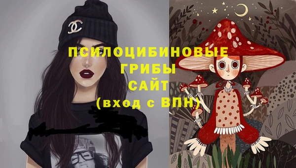 2c-b Верхний Тагил
