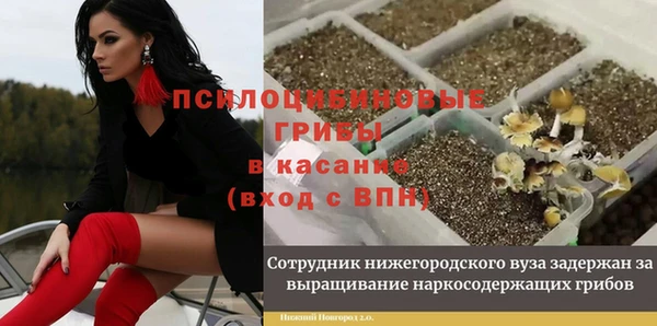 2c-b Верхний Тагил
